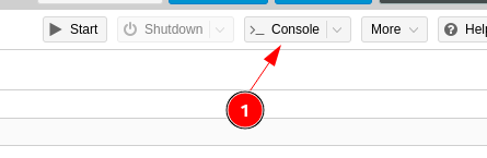Console button in Proxmox toolbar