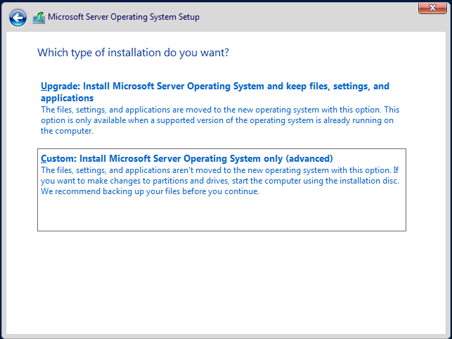 Custom install option selected