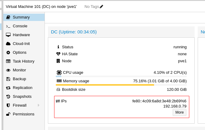 Proxmox Summary showing VM IP addresses from guest agent